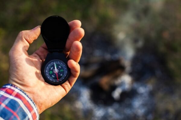 Exploring Chalipure Pins: The Ultimate Guide to Their Use and Benefits Chalipure Pins